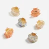 SMALL SHELL HAIR CLIP PACK